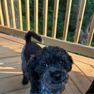 Meet your Posher, Kaitlyn